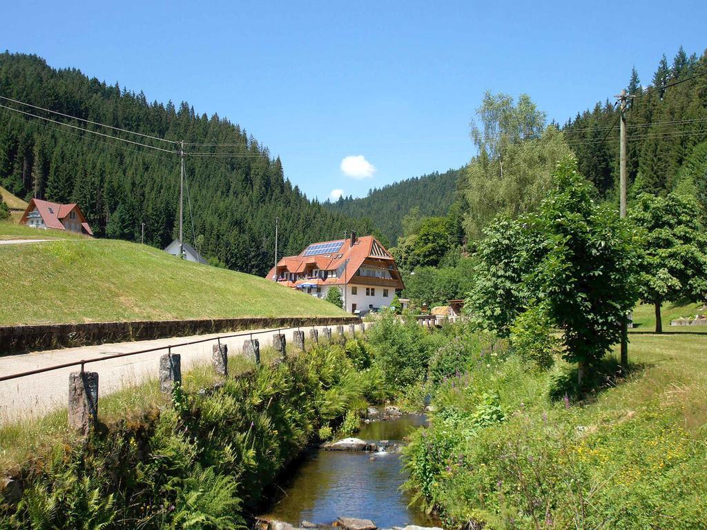 Gastehaus Herrmann Bad Rippoldsau-Schapbach Exterior foto