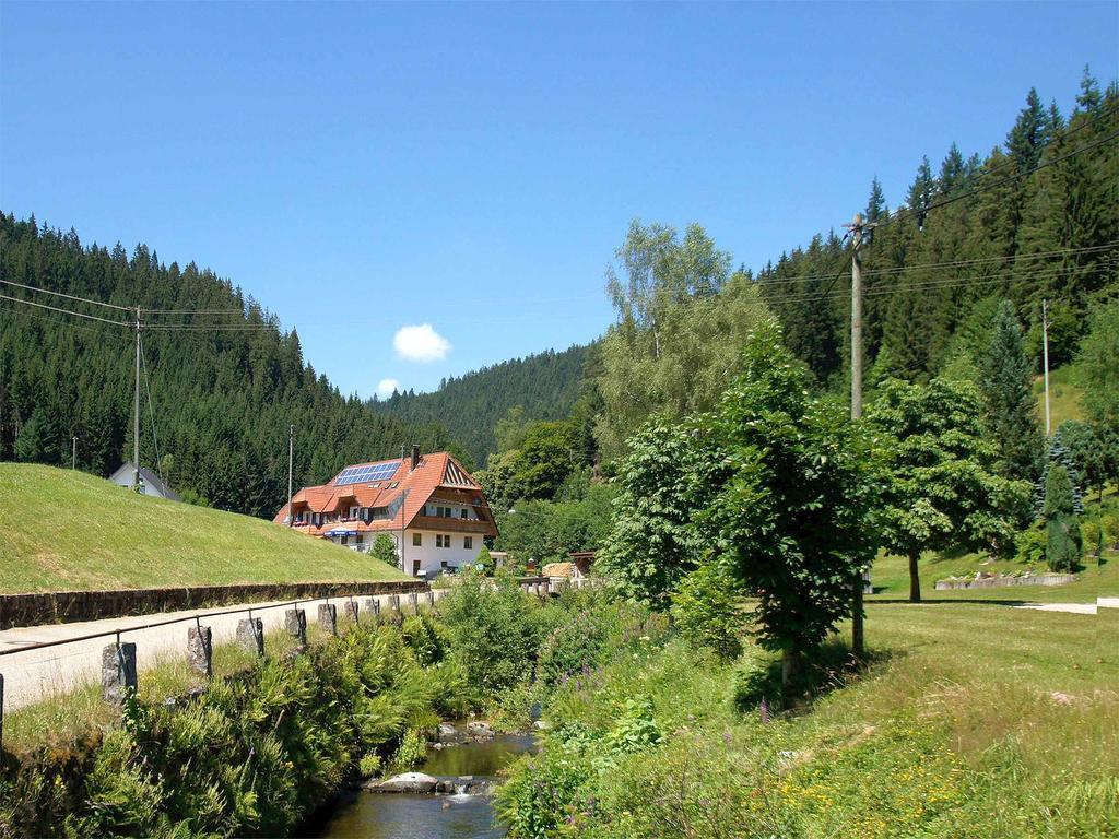 Gastehaus Herrmann Bad Rippoldsau-Schapbach Exterior foto